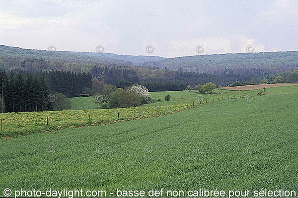 paysage